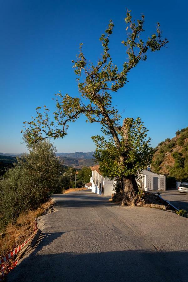 B&B Villa Deseada Periana Esterno foto